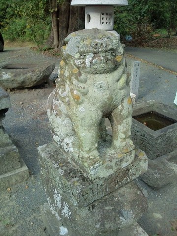 yoritake_komaue1 (480x640).jpg